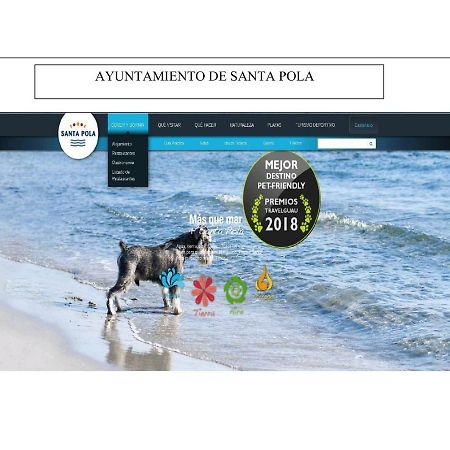 Playa 500M Y Centro Pueblo 600M, Piscina, 4 Clim, 2 Parkings Apartment Santa Pola Ngoại thất bức ảnh