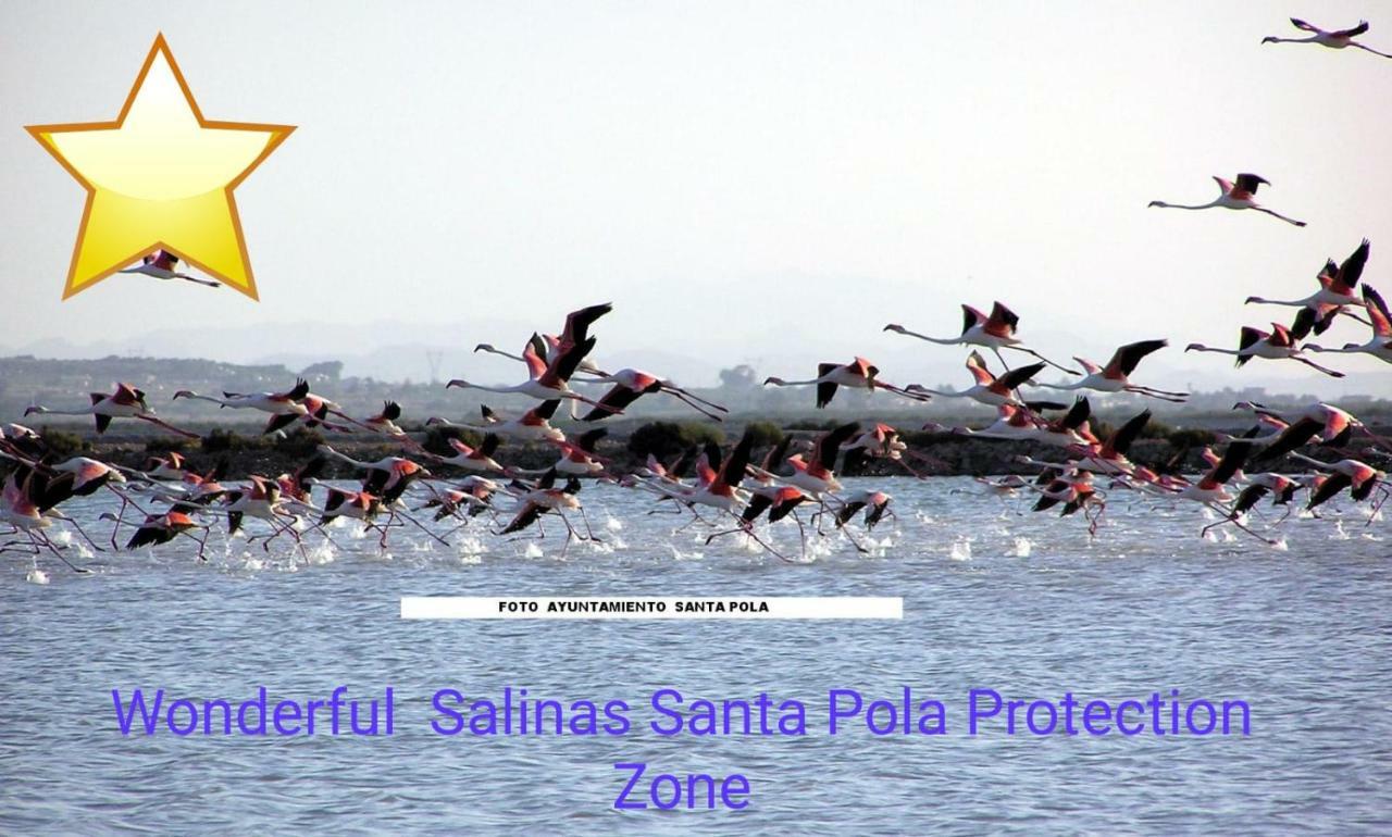 Playa 500M Y Centro Pueblo 600M, Piscina, 4 Clim, 2 Parkings Apartment Santa Pola Ngoại thất bức ảnh